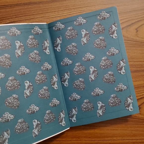 Rocks and Minerals by Chris Pellant - Picture 3 of 5